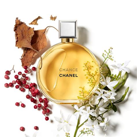 chanel perfume scent descriptions|chanel perfume online uk.